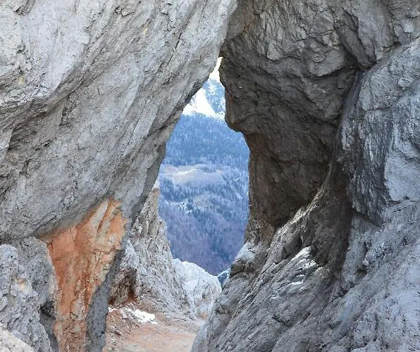 Apartma Prisank Daire *